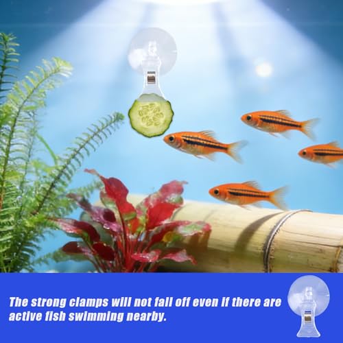 6pcs Aquarium Suction Cup with Clips, Clear Fish Feeding Tool Strong Veggie Feed Holder Plant Leaf Clip for Fish Tank Accessories