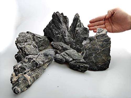 Voulosimi 18 lb Seiryu Rock Stone for Aquariums, Landscaping Model,Tank Decoration - color: 18 LB, size: Seiryu Stone