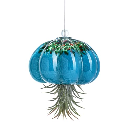 H&D HYALINE & DORA Handmade Blown Glass Hanging Jellyfish Air Planter for Live Succulent Air Plants (No Plants) - color: Jellyfish-sea Blue