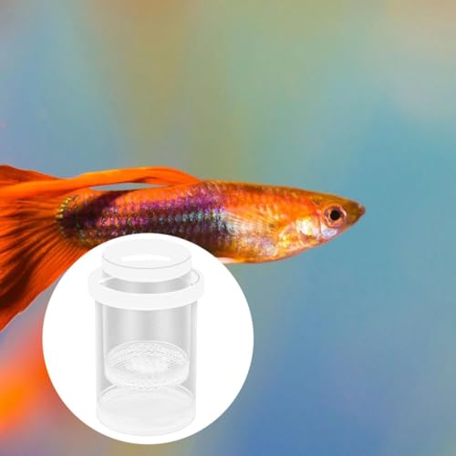 Fish Breeding Box Aquarium Floating Breeder Incubator Holder Isolation Container with Hole Lid Easy Setup Clear pp Material Suitable for Guppy Betta, White - color: white
