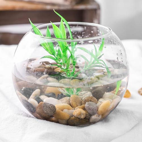 DomeStar River Rocks for Landscaping, 2lb Decorative Ornamental Pebbles Garden Landscaping Stones Gravel for Vases Fish Tank Succulent Potted Indoor Plants Crafts Home Garden Decor