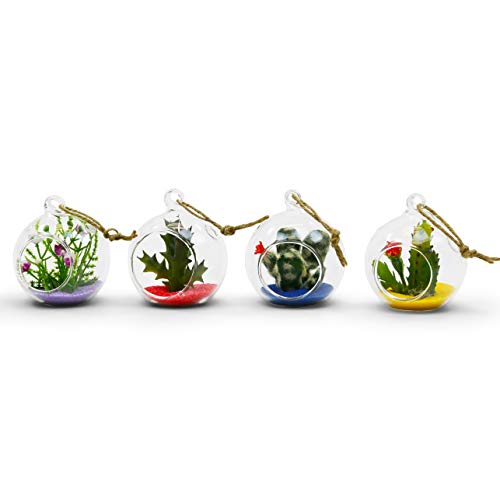 WGV Hanging Terrarium Globe, Width 2.25", Height 2.75", DIY Air Succulent Planter, Clear Glass Vase Orb with Flat Bottom, Candle Holder for Windowsill Outdoor Garden Decor, 6 Pieces Bulk - size: 2" Flat Bottom