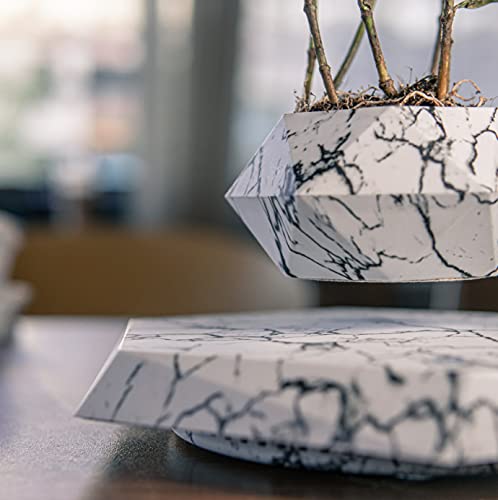 Floating Plant Pot Planter Suspension Air Bonsai Pot Flower Pot Levitating Plant Pot for Home Office