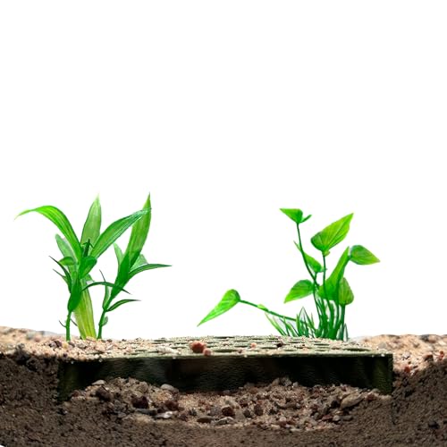 CTWPets Shrimp Breeding Protector | Shrimp Breeding Cave Aquarium Tunnel (Forest Green) - color: Forest Green