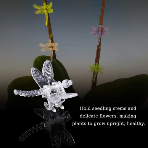 Watris Veiyi 100Pcs Plant Orchid Support, Garden Dragonfly Orchid Clips, Portable Cute Flower Vine Clips (Transparent)