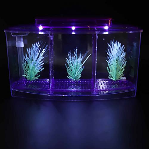 2 Betta Fish Tank With Divider, Aquarium Fish LED Acrylic Three Divisions Breeding Isolation Box for Small Fishes Aquarium Fish () - color: Purple