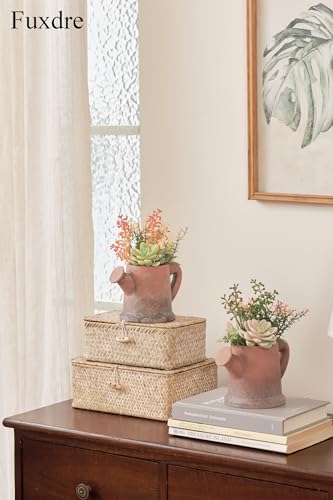 2-Pack Artificial Succulent Plants in Vintage Pots - Waterproof Fake Plants for Home Office Desk Decor - Low Maintenance Indoor Greenery for Bathroom Shelf Table - color: Succulent-c-2pcs