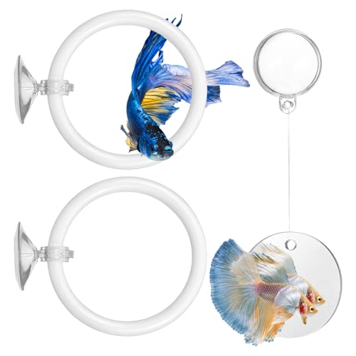 Molain Betta Fish Enrichment Toys, Betta Fish Tank Accessories 2 Training Rings 1 Mirror with Floating Ball Plastic Aquarium Enrichment Toys Set for Fishes Exercise Mental Stimulation