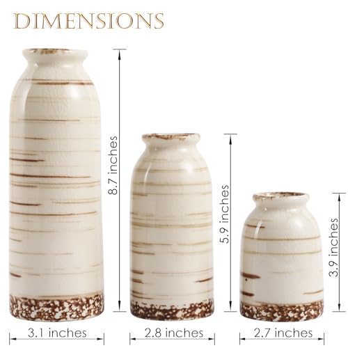 Joeabor Ceramic Vase Set of 3 - Handcrafted Ceramic Vases for Home Decor & Shelf - Modern Farmhouse Decor for Kitchen, Office, Bedroom & Living Room Decorative Objects for Mantel, Table Centerpieces - color: Set a