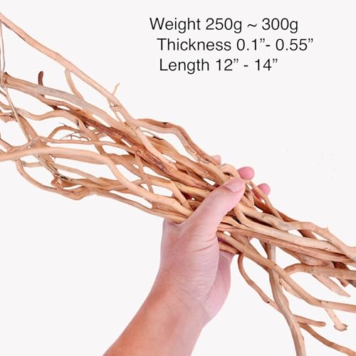 Azil Natural Aquarium Driftwood Root – Driftwood for Aquarium Decor, 250g ≈ 0.551 lb (10″–15''), Fish Tanks, Terrariums, Aquascaping & Planted Tanks - size: root mix 10 - 15 inch