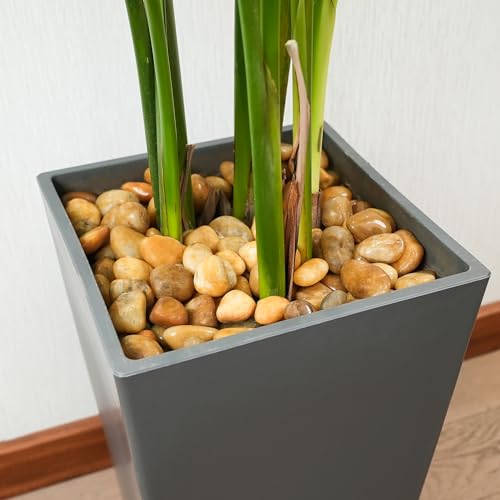 6 LBS River Rocks, StoneCreek, Decorative Garden Stones for Plant Landscaping, Polished Gravel Filler Pebbles for Home Decoration, Vases, Succulents, Flower Beds and Fish Tanks (Pale Yellow, Medium) - color: Pale Yellow, size: 6 LBS