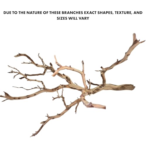 Koyal Wholesale Large Driftwood Branch, 36 Inch California Driftwood Décor – Natural Brown Branches for Home, Wall Decor, Aquarium, Vivarium and Reptile Tank