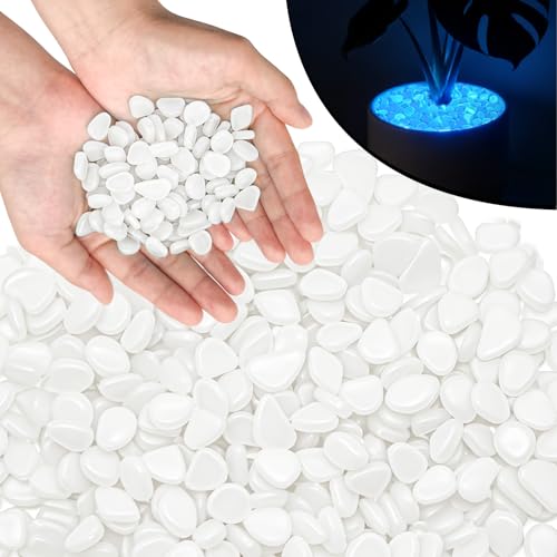 PoYang 1000pcs Glow in The Dark Rocks Outdoor - White Resin Glowing Pebbles for Landscaping, Garden, Fish Tank and Aquarium Indoor Decor, Powered by Sunlight or Lamplight (0.4"-0.7"/pc, 1.2lbs/Bag) - color: White
