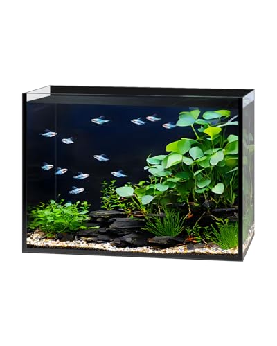 2.5 Gallon Clear Glass Fish Tank, Small Fish Tank Aquarium for Betta, Goldfish, Snail,Shrimp and Aquatic Planting - color: Black, size: 2.5 Gallon
