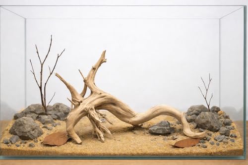 Azil spiderwood Natural Aquarium - size: Spiderwood 10'' - 14''