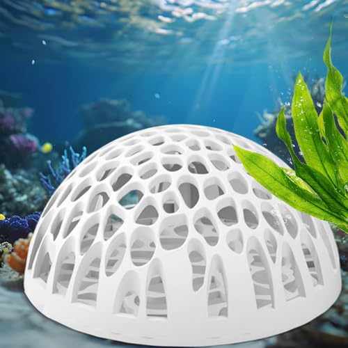 Shrimp Cave Betta Habitat Ornament | Realistic 2-Piece Betta Resting Habitat for Tropical Fish Tanks, Perfect for Home, Office, School Desk Aquariums and Small Aquatic Life Enthusiasts - color: White