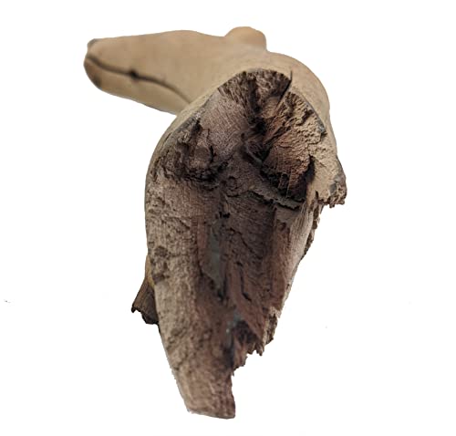 Josh's Frogs Manzanita Wood (Medium) - size: Medium
