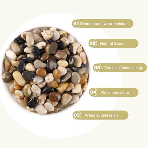 5LB 1/4-5/8Inch Polished River Rocks for Plants with Mixed Colors Decorative Natural River Stones Pebbles for Outdoor Small Stones Gravels for Home Decoration