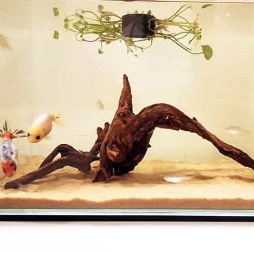 kathson 2 PCS Large Aquarium Driftwood, 7.5''-12''Natural Fish Tank Driftwood Assorted Branches Reptiles Drift Wood Decor Aquarium Wood Aquascaping Terrarium Ornament Habitat Accessories - size: 2Pcs: 7.5-12in