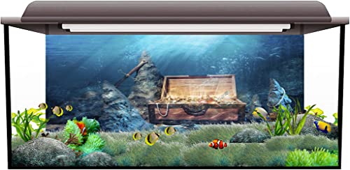 AWERT 36x20 inches Underwater Aquarium Background Opened Treasure Chest with Bright Gold Treasure Box Adventure Water Wealth Pirate Fish Tank Background Vinyl Background - size: 36x20in/90x50cm