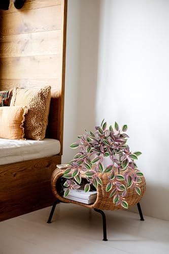 Briful Faux Plants Indoor Fake Potted House Plants Artificial Watermelon Peperomia Hanging Plant for Home Office Bedroom Aesthetic Shelf Kitchen Decoration(Pink - 1 Pack) - color: Pink