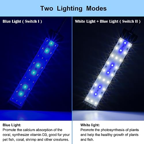 DaToo Aquarium Light Small LED Clip Light for Fish Tank 10W, 1 Yr Warranty - size: 10W (Without Timer & Dimmer)