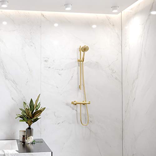 Hansgrohe 28632990 Unica Brausestange S Puro 65 cm mit Brauseschlauch Optic Shower Rod, Polished Gold Look - color: Polished Gold Look.