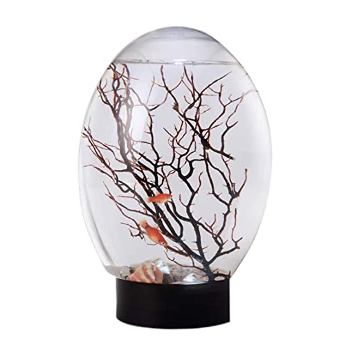 Mini Aquarium, Ecosphere Closed Aquatic Ecosystem Desktop Aquarium with LED Light & Revolving Base, No Need to Feed & Change Water Fish Tank Decor for Home Office (Black)