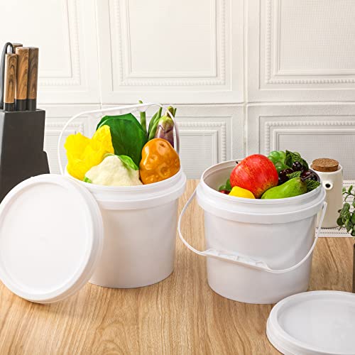 Gerrii 10 Pack White Plastic Bucket with Handle and Lid Food Storage Bucket Containers All Purpose Pail for Multipurpose Paint Water Art Crafts Projects Garage Organization (White,1 Gallon) - color: White, size: 1 Gallon