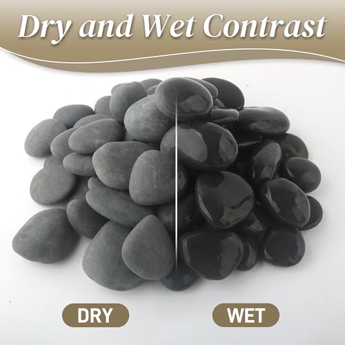 Quibbay 5 lbs Natural Mexican Beach Pebbles, 1-2 Inch Large River Rocks for Plants and Landscaping, Decorative Stone for Fish Tank Aquarium Fountain Garden Paving Walkways Pathways Backyard, Grey - size: 5 Pounds, 1-2 Inch