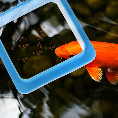 2pcs Reusable Plastic Fish Feeding Rings Aquarium Feeding Circles Floating Fish Feeder for Tank Tropical Food Retaining Ring Aquarium Accessory