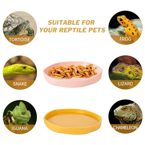 COMSUN 4 Pack Small Reptile Food Dish Bowl, Plastic Worm Water Dish Plate for Lizard Gecko Bearded Dragon Chameleon 4" W x 4" D x 0.5" H, Blue and Yellow - color: Blue and Yellow