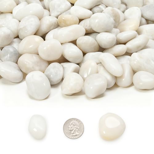 Mr. Fireglass 5lb White River Rocks, 3/8 inch Natural Decorative Polished Pebbles Aquarium Gravel Stones for Landscaping, Indoor Plants, Vase, Succulent, Fish Tank - color: White, size: 3/8 inch, 5 lb