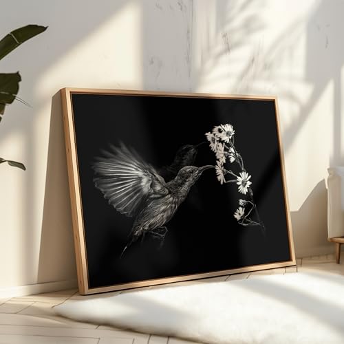 Monem Art Hummingbird & Cluster of Daisies Print - Motion Poster - Wildlife & Nature Art - Floral Living Room or Office Decor - 8x10 Unframed Wall Art by Andi Halil - color: Style-08, size: 8"L x 10"W