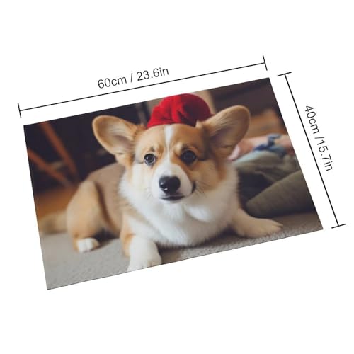 Outdoor Door Mat 15.7" X 23.6" Non-Slip Doormat Cute Corgi Front Door Mats Quick Dry Welcome Mats for Outdoor Indoor Entrance Mat Home Decor Floor Mats for Patio - color: Cute Corgi