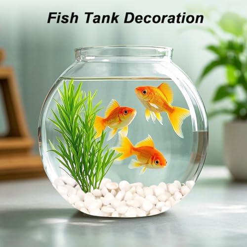Landscaping Pebbles,River Rocks,Decorative Ornamental Pebbles,Garden Landscaping Stones,Gravel Filler for Home Decoration Flower Bed Fish Tank Plants Vases Succulents (1, White, 1 Pound) - color: White, size: 1 Pound