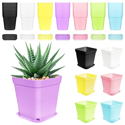 Anyumocz 70 PCS 3" Colorful Plastic Plant Pots,Plastic Square Nursery Pot,Seedling Nursery Pots with Saucers for Indoor Outdoor Plants,Garden,Flower,Home,Office,Balcony Decor - color: 7 Colors