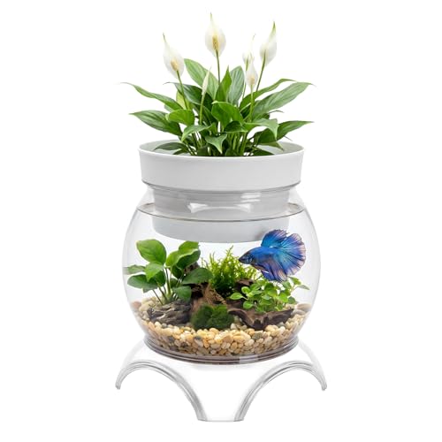 1 Gallon PET Aquaponic Fish Tank, Fish Bowl Aquaponic Betta Fish Tank Clear Aquarium for Betta Fish Reptiles Succulents Flower Vase Betta Fish Centerpiece Present for Home Office Desktop Decors - size: 1 Gallon