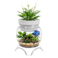 1 Gallon PET Aquaponic Fish Tank, Fish Bowl Aquaponic Betta Fish Tank Clear Aquarium for Betta Fish Reptiles Succulents Flower Vase Betta Fish Centerpiece Present for Home Office Desktop Decors - size: 1 Gallon