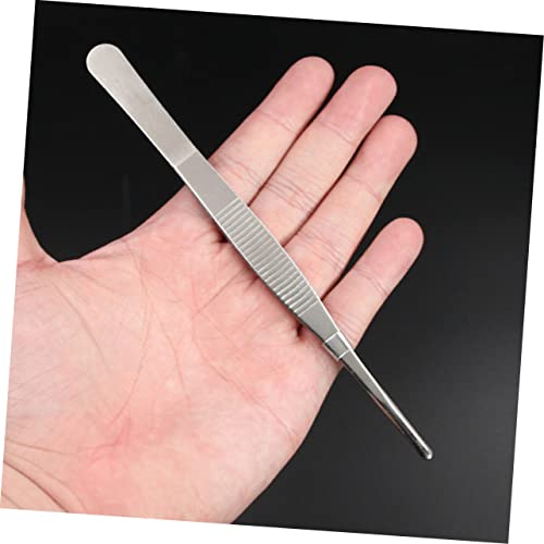 6pcs Succulent Bonsai Cactus Tweezer Curved Reptile Accessories Grass Garden Reptile Feeding Aquascaping Tools Pliers Tool Flowerpot Stainless Steel Clip