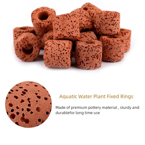 20 Pcs Aquatic Water Plant Fixed Rings, Aquarium Anchors Fish Tank Holder Rings Gravity Cup, Landscape Ceramic Pot Ring Tool Aquarium Decoration (20)