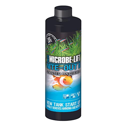 MICROBE-LIFT Nite-Out II Aquarium Bacteria for Start-up, Instantly Cycle Aquariums, Add Fish on Day 1, Rapid Ammonia and Nitrite Reducer for Freshwater & Saltwater Fish Tank, 16 Ounces (NITEH16) - size: 16 Ounces