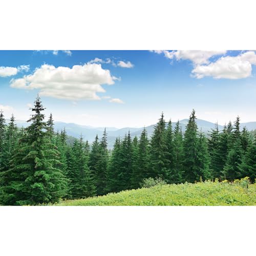 Evergreen Pine Trees Aquarium Background Majestic High mountains Pine Trees Scenery Fish Tank Background Scenic Mountain Fir Forests Terrarium Backgrounds Green Meadow Reptile Tank Backgrounds 24x12in - color: Grey_Green, size: 24(W)x12(H)in