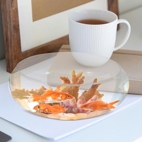 DOITOOL Clear Glass Fish Bowl 9.84 Inch Desktop Aquarium Small Fish Tank Planter for Goldfish Hydroponic Plants Home Office Wedding Decor - size: 25.00X25.00X10.00CM