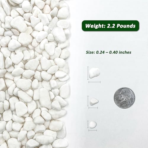 BXI 2.2 Lbs Small Aquarium Substrate Gravel Sand, Polished Smooth Fish Tank Gravel, Colorfast Uncoated White Natural Pebbles, Decorative Stones for Vase Fillers, Fairy Garden, Potted Plants - color: White Pebble, size: 2.2 lbs, 0.24''-0.40''(Medium)