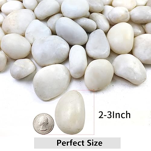 YISZM 10lbs White River Rocks, 2-3 Inch Natural Pebbles for Indoor Plants, High Polished Decorative Stones Vase Filler Fish Tank Aquariums Landscaping Garden Outdoor and Indoor DIY - color: White, size: 10 Pounds