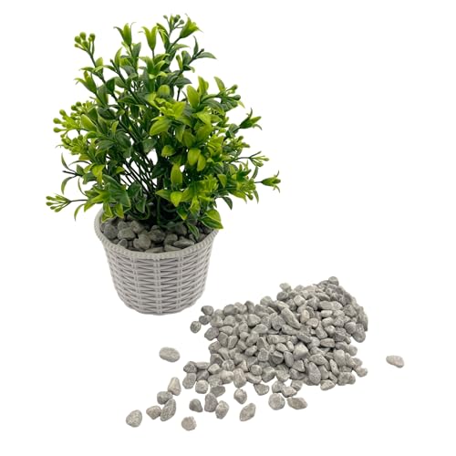 Natural Polished Pebbles, Decorative Garden Rocks, 1LB Cactus and Succulent Plants Pebbles, Grey River Rocks for Potted Plants, Vases, Aquariums, Terrarium and Outdoor Gardening(0.24-0.35 inch) - color: 1LB Grey