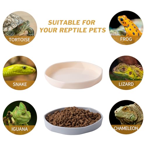 COMSUN 4 Pack Small Reptile Food Dish Bowl, Plastic Worm Water Dish Plate for Lizard Gecko Bearded Dragon Chameleon 4" W x 4" D x 0.5" H, White and Grey - color: White and Grey