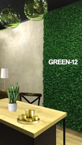 Preserved Reindeer Moss Natural Green DIY Kit Gardenning Art Wall Decor Florist Decor Easter Table Decor Wedding - color: Green-12, size: 0.85 lb