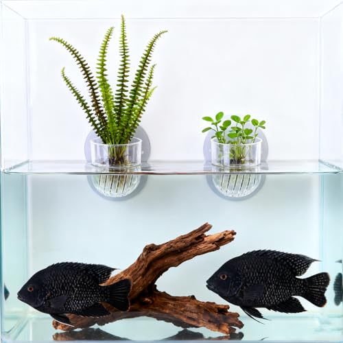 1Pcs Acrylic Transparent Aquatic Plant Cup with Suction Holder Mini Fish Tank Worm Feeder Aquarium Decoration Tool (Large,4.7 * 6.6 * 5cm) - color: Large,4.7*6.6*5cm